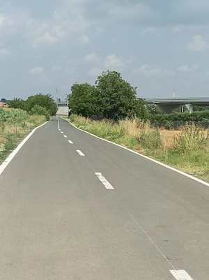 Teren  3400 comuna Daia la 200 m de DN5 Giurgiu-Bucuresti  - imagine 9