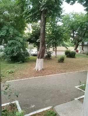 Vînd apartament 2camere ultracentral.Preț 60000euro. - imagine 5