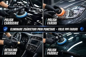 Polish si Detailing Profesional - imagine 4