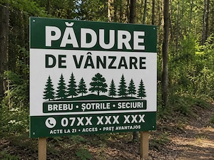 Padure în Brebu, Șotrile, Seciuri