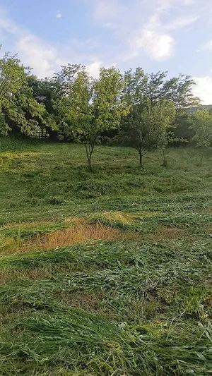Casa de vanzare în sat Stejaru, Com. Ion Creanga cu 2500mp teren - imagine 3