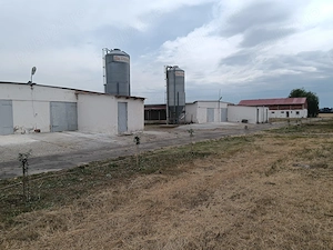 De vânzare fermă avicolă   Salonta, județul Bihor