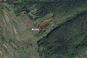 Portofoliu funciar de peste 10 hectare | Izbuc - Carpinet | Jud. Bihor - imagine 2