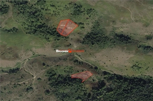 Portofoliu funciar de peste 10 hectare | Izbuc - Carpinet | Jud. Bihor - imagine 6