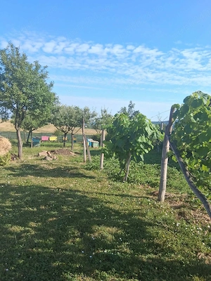 Vând casă situată la 33 km de Oradea - imagine 2