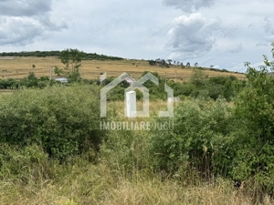 Teren intravilan industrial – 10.151 mp | Jucu de Mijloc - imagine 8