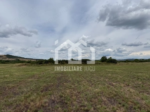 Teren intravilan industrial – 10.151 mp | Jucu de Mijloc - imagine 7