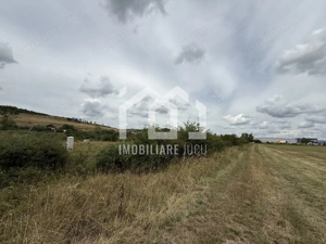 Teren intravilan industrial – 10.151 mp | Jucu de Mijloc - imagine 2