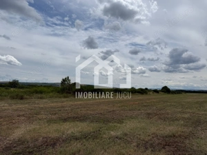Teren intravilan industrial – 10.151 mp | Jucu de Mijloc - imagine 5