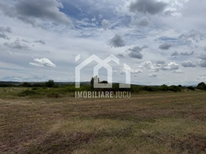 Teren intravilan industrial – 10.151 mp | Jucu de Mijloc - imagine 4