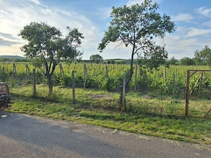 2700mp teren inttravilan valea călugărească - imagine 3