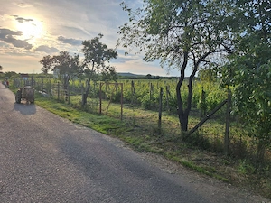 2700mp teren inttravilan valea călugărească - imagine 6