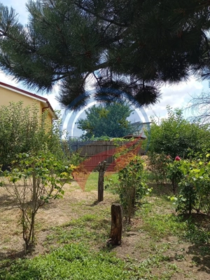 REDUCERE PRET - CASA RENOVABILA + 600 MP TEREN - BARIERA VALCII - imagine 16