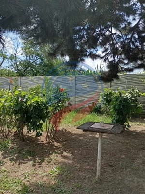 REDUCERE PRET - CASA RENOVABILA + 600 MP TEREN - BARIERA VALCII - imagine 15