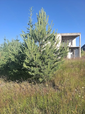 Vând casă in construcție  - imagine 10