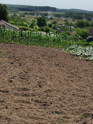 Teren intravilan de vânzare în Mahmudia   vedere spectaculoasă la Dunăre - imagine 3