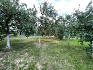TEREN INTRAVILAN 8000 MP | PARTIAL IMPREJMUIT | PESTERE | BIHOR | - imagine 4