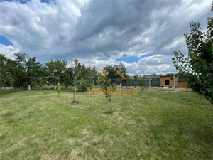TEREN INTRAVILAN 8000 MP | PARTIAL IMPREJMUIT | PESTERE | BIHOR | - imagine 3