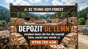 lemne de foc