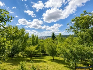 Proprietate deosebita, pe domeniu de 2.300 mp, panorama, Subpadure, Targu Mures:FILM Tur 3D! - imagine 16