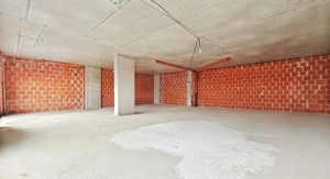 Spațiu comercial generos, ideal pentru investiție, în complex Ared – Micălaca - imagine 3