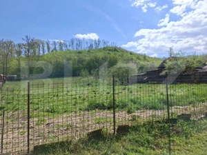 De vânzare casă în Jibou, cu teren de 70 ari - imagine 12
