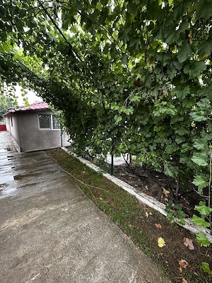 De vanzare Casa in Lehliu