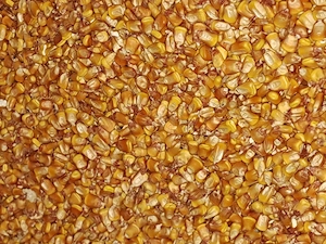 Malai boabe sau stiulete 