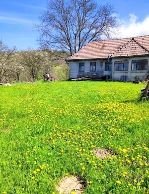 Teren și casa ( potențial turistic) - imagine 2