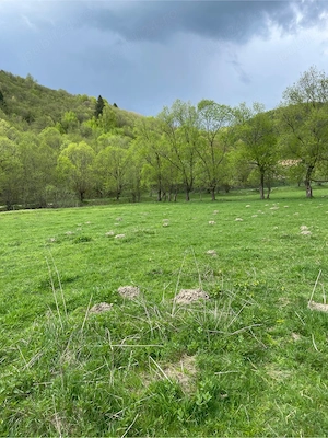 Teren de vanzare Zarnesti  Brasov Piatra craiului - imagine 10