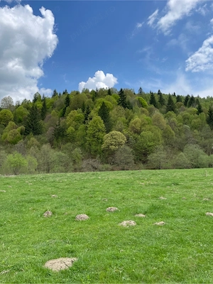Teren de vanzare Zarnesti  Brasov Piatra craiului - imagine 7