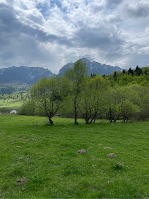 Teren de vanzare Zarnesti  Brasov Piatra craiului - imagine 3