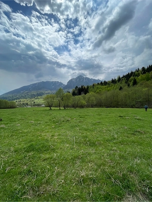 Teren de vanzare Zarnesti  Brasov Piatra craiului - imagine 8