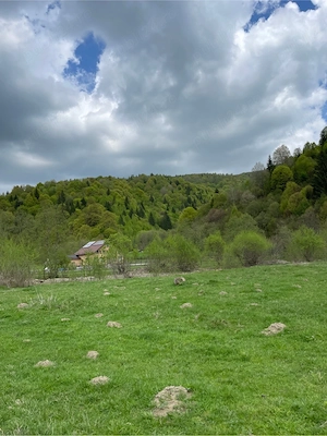 Teren de vanzare Zarnesti  Brasov Piatra craiului - imagine 6