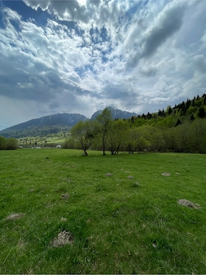 Teren de vanzare Zarnesti  Brasov Piatra craiului - imagine 4
