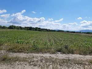 Teren agricol Podu Oltului la limita UAT Prejmer (Lunca Calnicului)  si UAT Harman  
