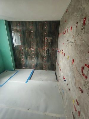 Execut Finisaje interioare și exterioare