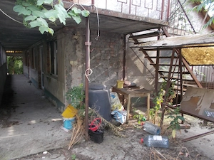 Casa, Becicherecu Mic, 3 corpuri, total 300mp, teren 1254mp - imagine 12
