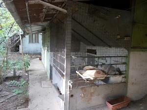 Casa, Becicherecu Mic, 3 corpuri, total 300mp, teren 1254mp - imagine 16