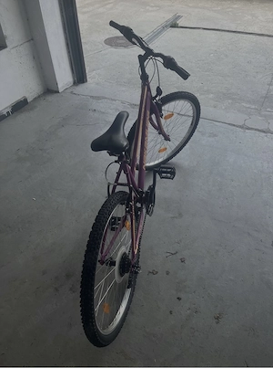 Bicicleta Dama 