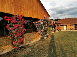 Vând proprietate 5,78ha  în vecinătatea Mănăstirii Dobrești-Timiș.  - imagine 4