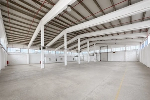 Hala industrială, Sanicolau Mic, suprafata 1.354 mp - imagine 4