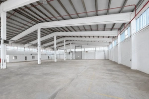 Hala industrială, Sanicolau Mic, suprafata 1.354 mp - imagine 3