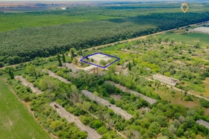 Hala industriala de vanzare Arad - imagine 5