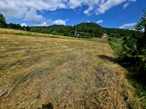 Teren 600mp Viisoara / Strada Primaverii - imagine 3