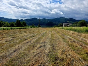 Teren 680mp Viisoara / Strada Primaverii - imagine 14
