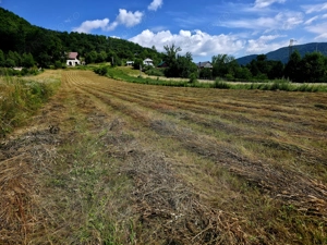 Teren 680mp Viisoara / Strada Primaverii - imagine 11