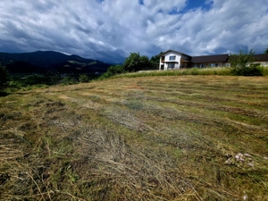 Teren 600mp Viisoara / Strada Primaverii - imagine 4