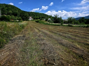 Teren 600mp Viisoara / Strada Primaverii