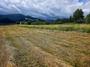 Teren 680mp Viisoara / Strada Primaverii - imagine 12